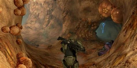 halo 3 flood level.